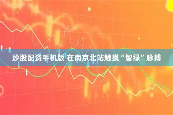 炒股配资手机版 在南京北站触摸“智绿”脉搏